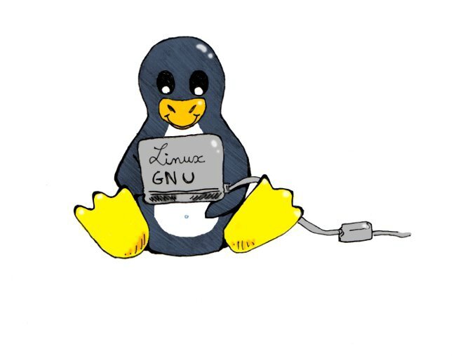 manchotlinux001-redim