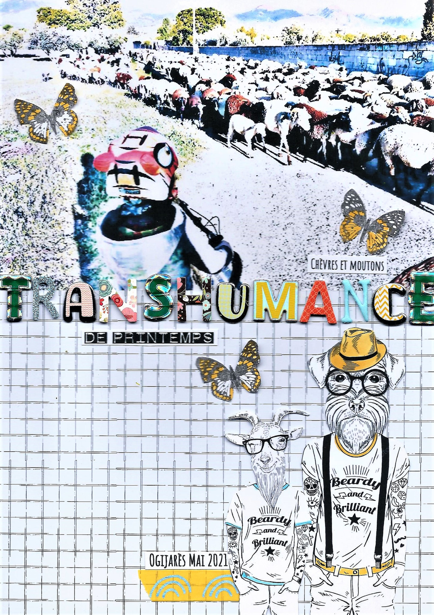 Pack 3 Transhumance de printemps