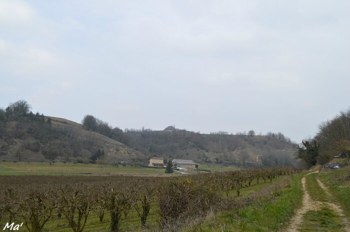 160313_parnans_campagne