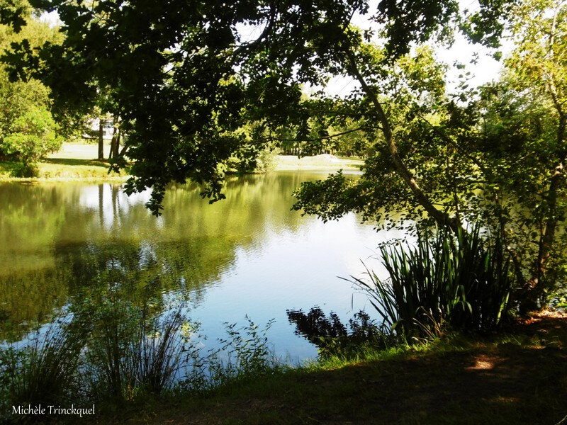 1-Balade Etang Bois de Boulogne 100719