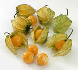 Physalis_From_Colombia
