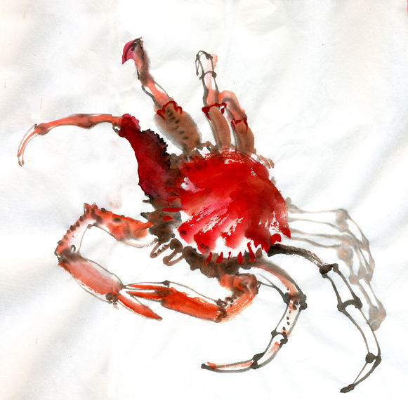 crabe021