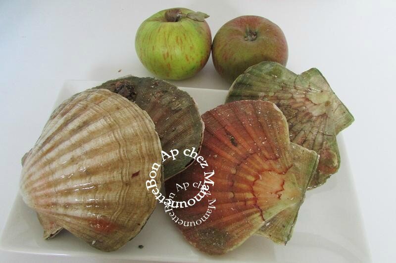 Coquilles st Jacques à la pomme flambées au calvados 001