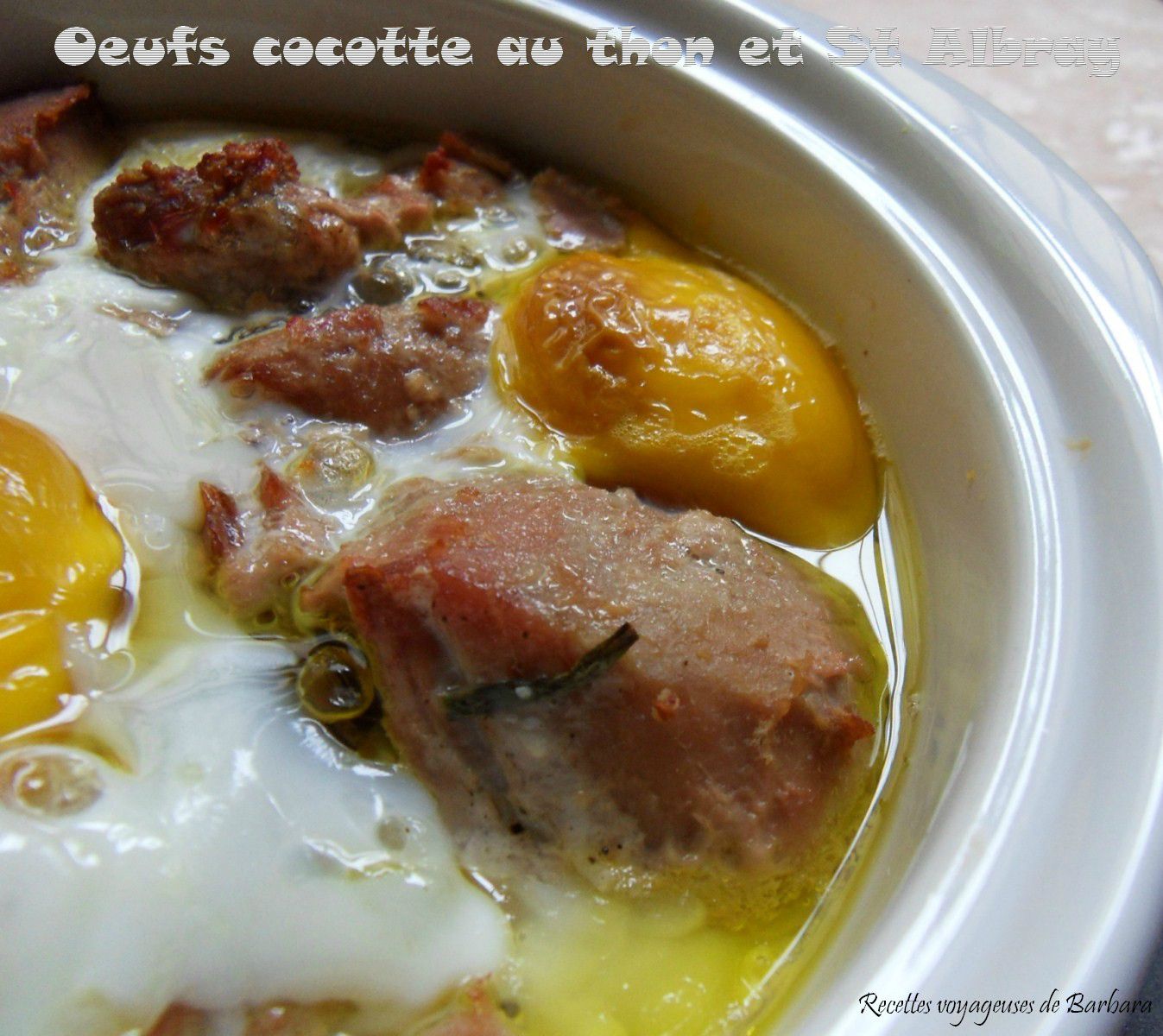 oeufs cocotte au thon et st Albray1