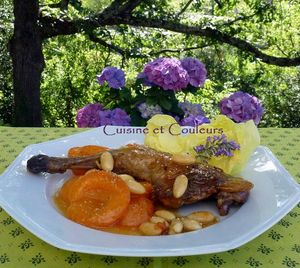 pintade aux abricots (2)