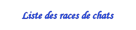 titre_race_chat