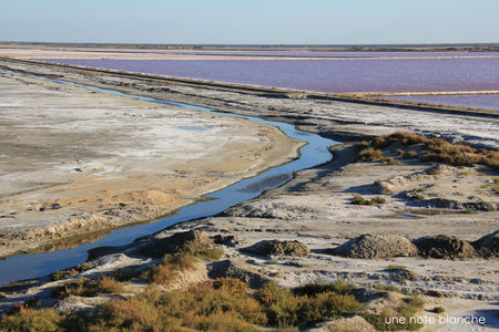 camargue_salins