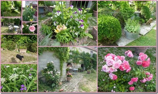 jardin 20 juin 20207