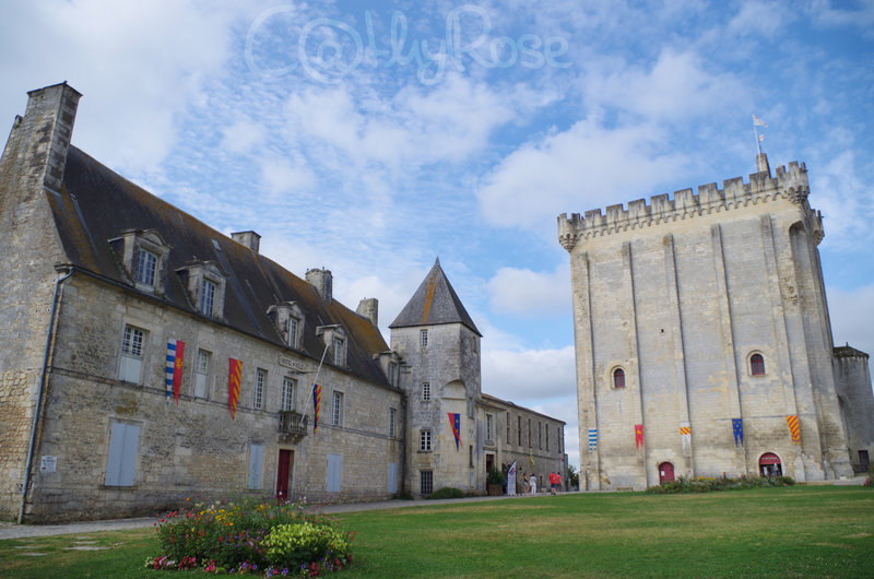 && Pons château et donjon (1)