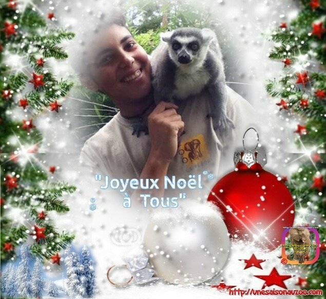 TESS 1 NOEL 2017