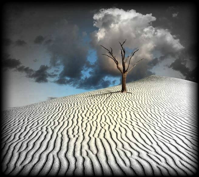 AFRIQUE