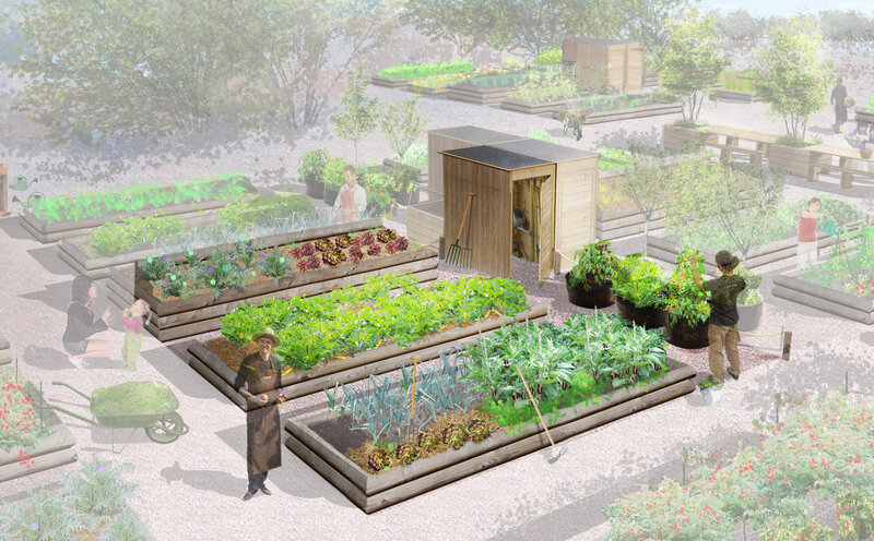 00-MONTAGE-JARDINS-POTAGER-avec-transparence (2)