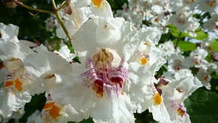 029