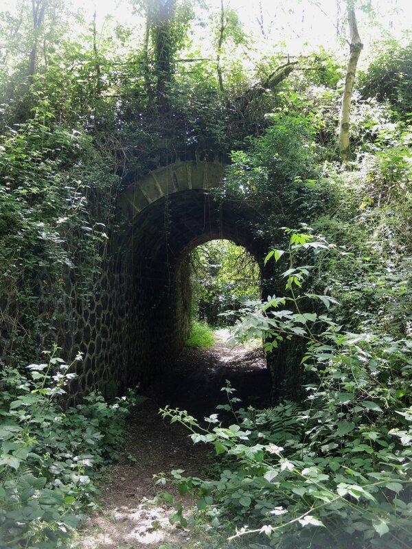 Jaleyrac, tunnel sur voie verte (15)