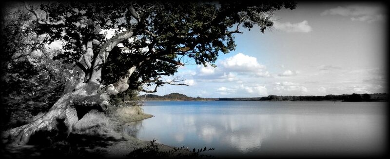 espoir