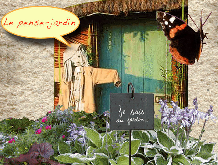 Image de fond accueil Pense Jardin du JardinOscope