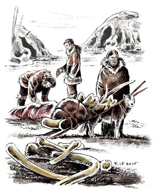 Illustration mammouth
