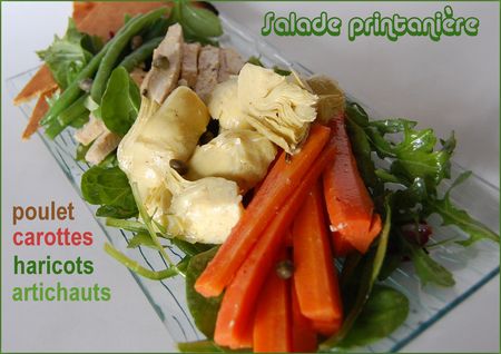 SALADE_PICASSA_1