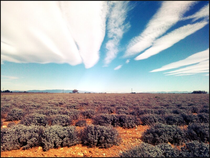 Valensole