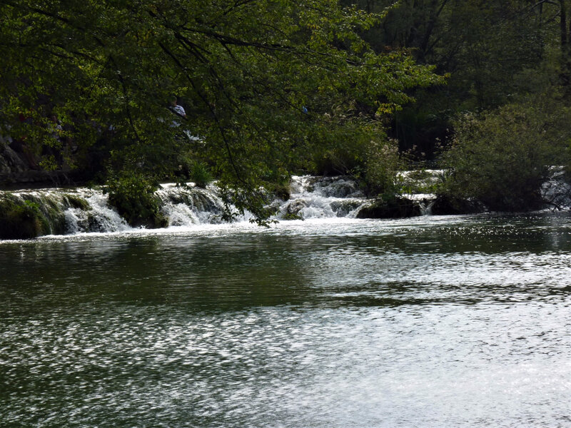 P1040702 - Copie (2)