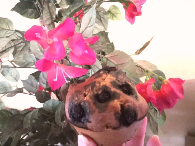 Muffins à la myrtille sans beurre à la farine complète 05