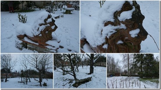 jardin 19 janvier 20241