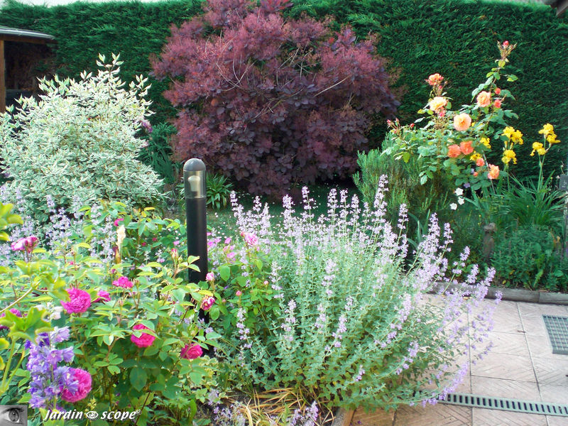 Jardin Mai 2009
