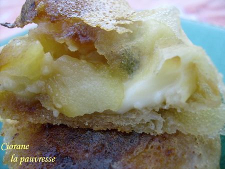 brick_pommes_et_maroilles