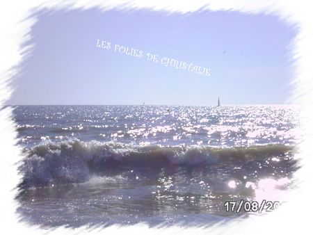 Plage Barbâtre 2012 023