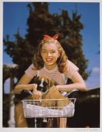 1946-03-12-park_sitting-dog-011-1-by_richard_c_miller-1a