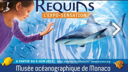 expo requins
