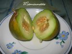 Melon_et_figues_du_jardin_au_magret_de_canard_maison_003