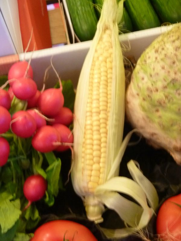 P1010692