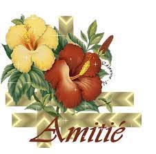 Amitié - Fleurs - Gifs scintillants - Le Monde des Gifs