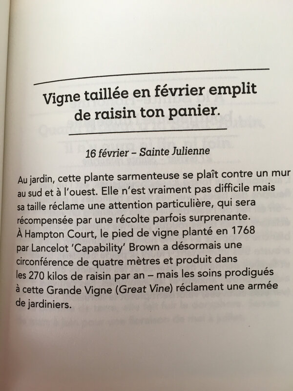 Vigne taillée en février emplit de raisin ton panier