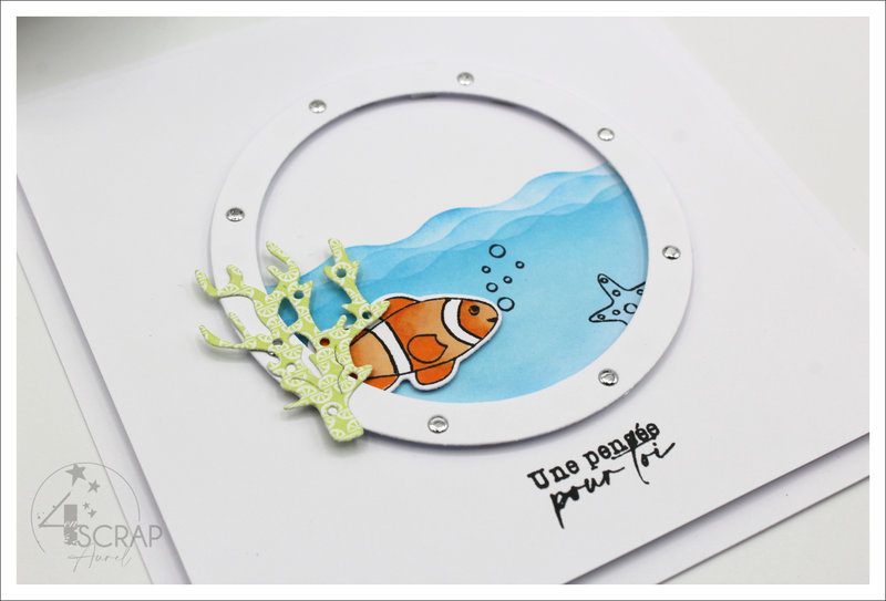 120522 - Cartes Fonds marins - AP E22 - J3 #11