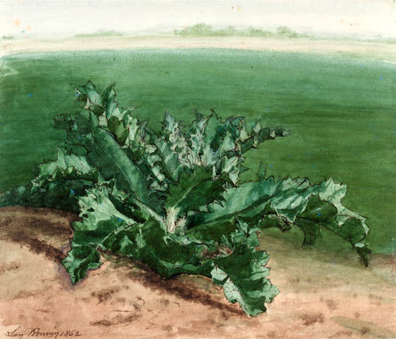 chardon_1862_cleveland_museum