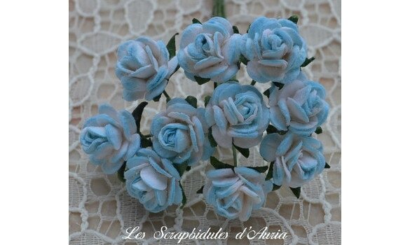 Roses-1cm-BleuBlanc-1331-2-big-1-www-lesscrapbidulesdauria-kingeshop-com[1]