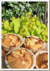 Muffins_au_lait_de_coco_et_chocolat_blanc_Babeth_s_cuisine