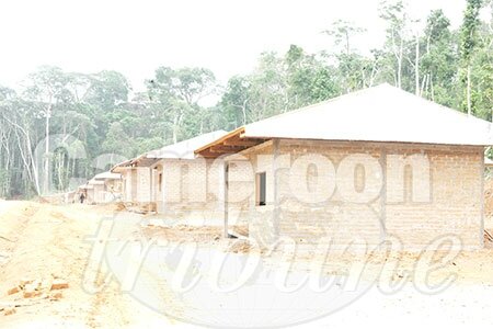 construction-maison-materiaux-locaux