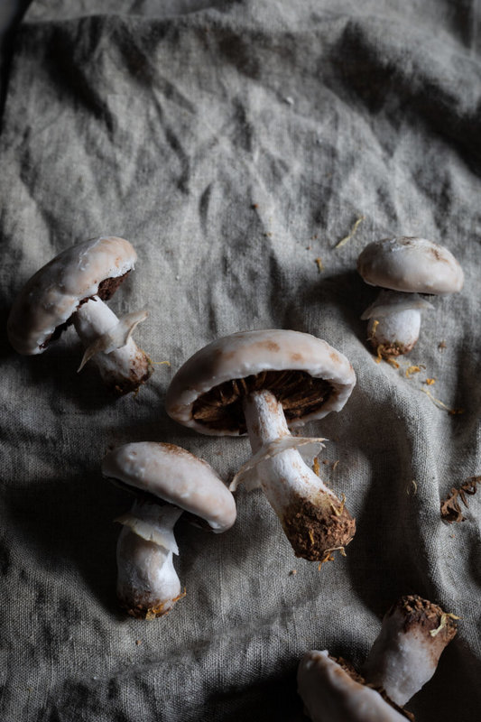 recipe_mushroom_gingerbread