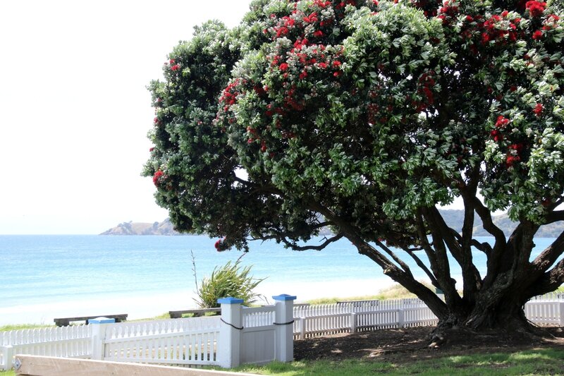 4W7A7177 Waiheke Island - Onetangi beach