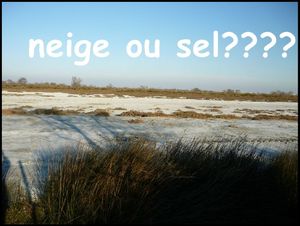 neige ou sel