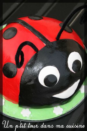 Coccinelle