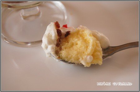 Mousse_de_mangue6