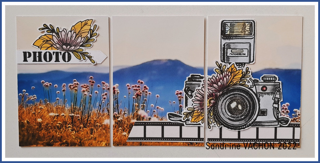 Sandrine VACHON ATC photo (1)