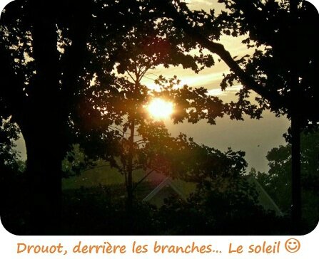 Quartier Drouot - Soleil