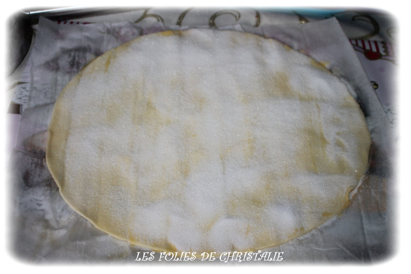 Palmiers 1