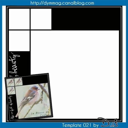 template_dids_021_preview