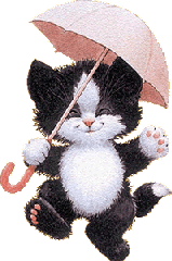 chat pluie